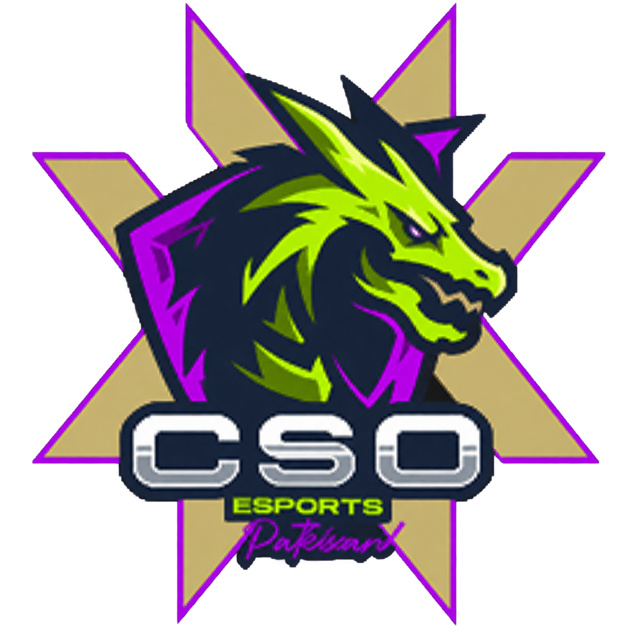 CSO purple team crest