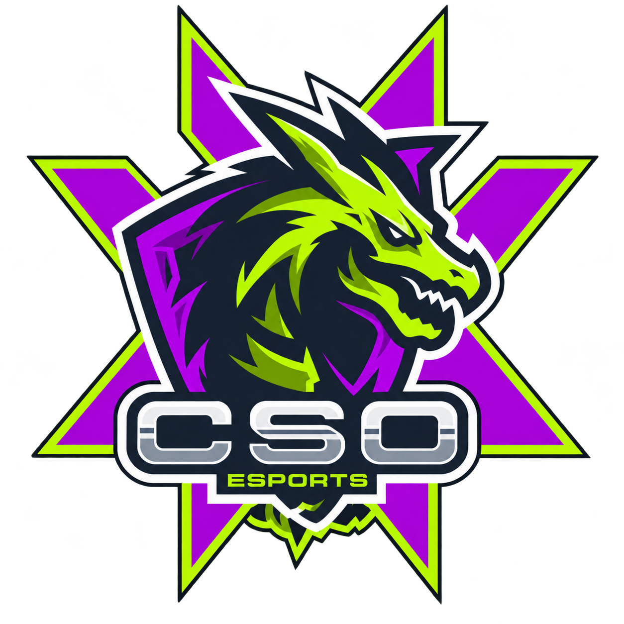 CSO green team crest